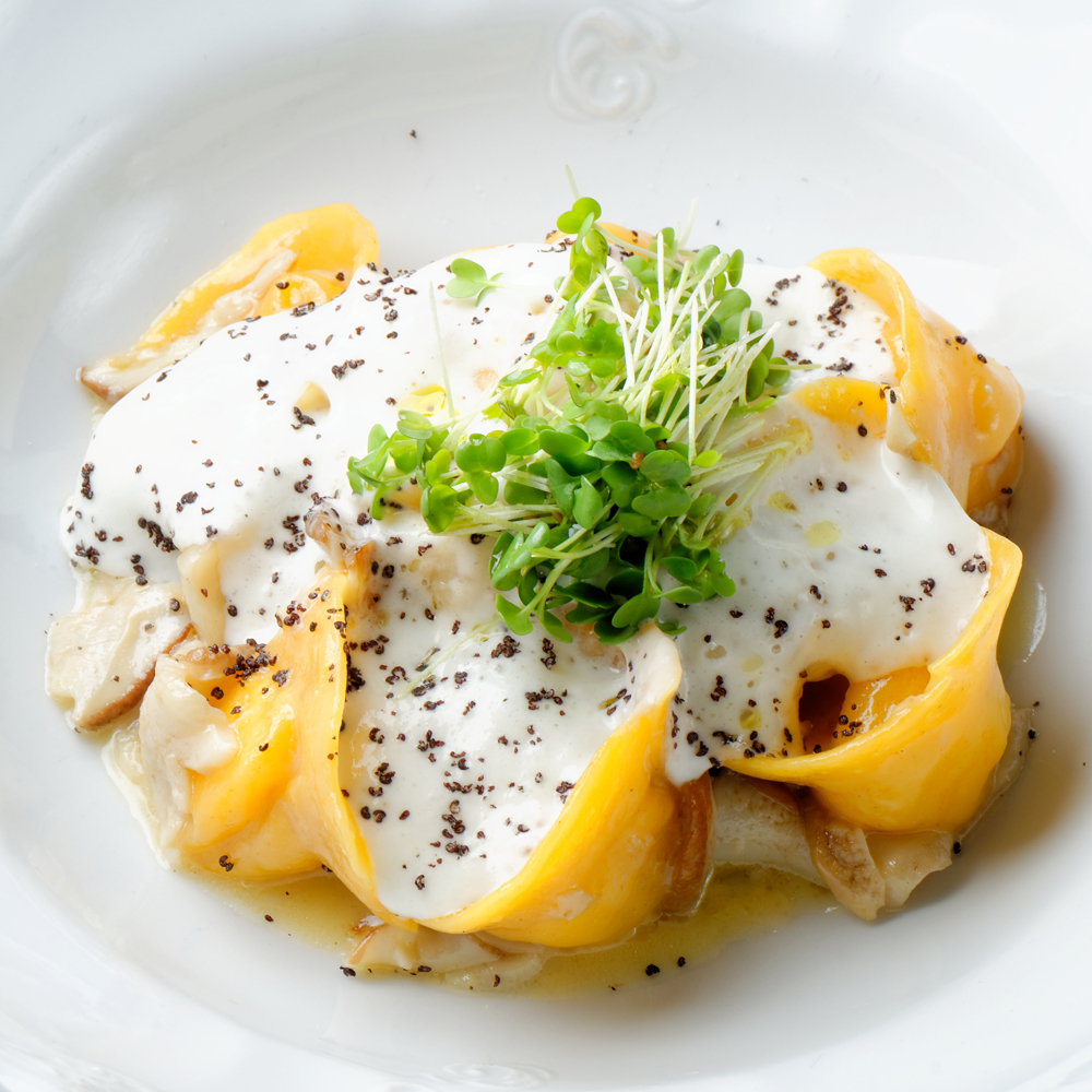 Kürbis-Ravioli mit Ricotta-Sauce | seitenbacher.de